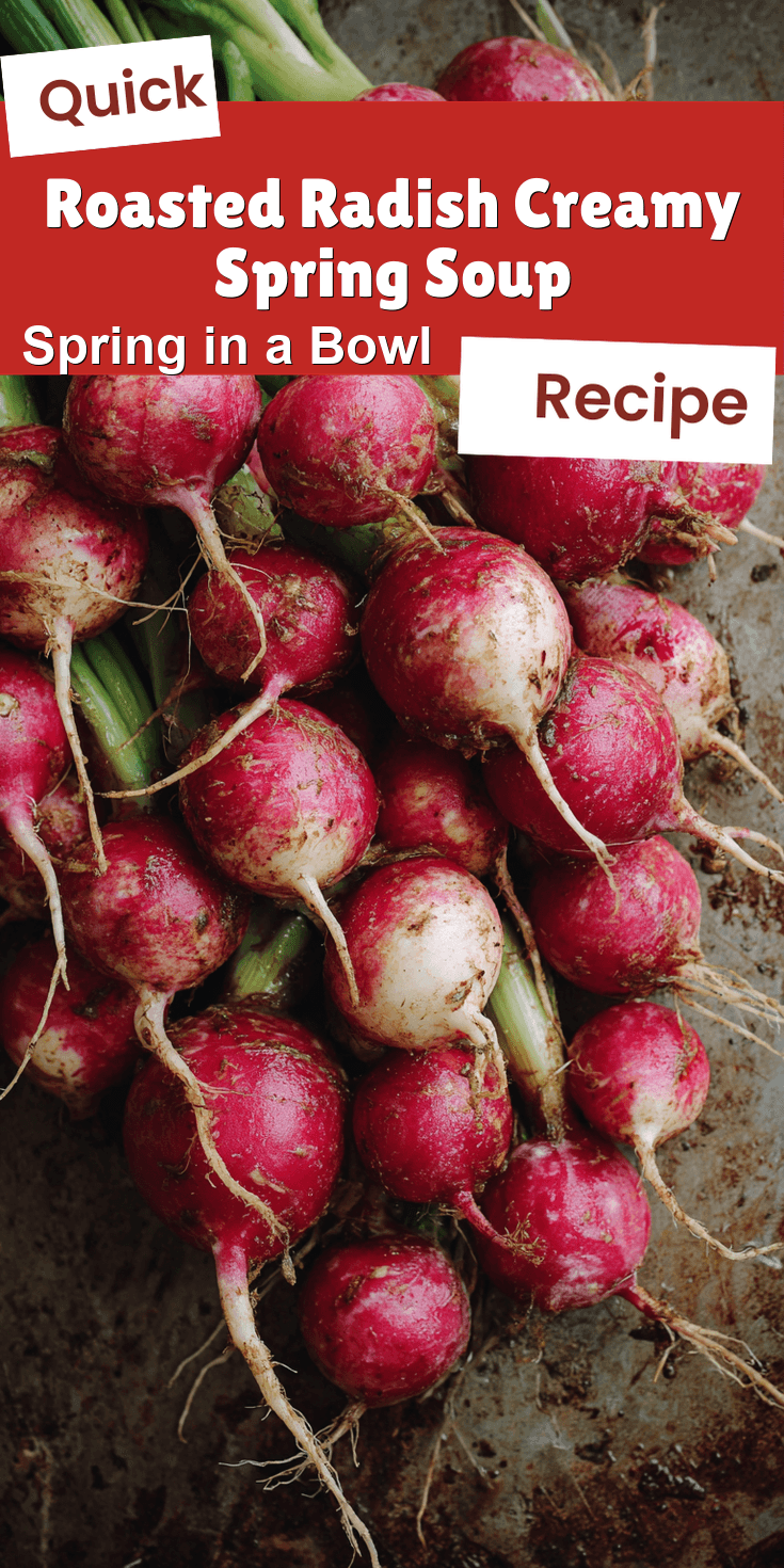 Roasted Radish Creamy Spring Soup served warm with cozy spices