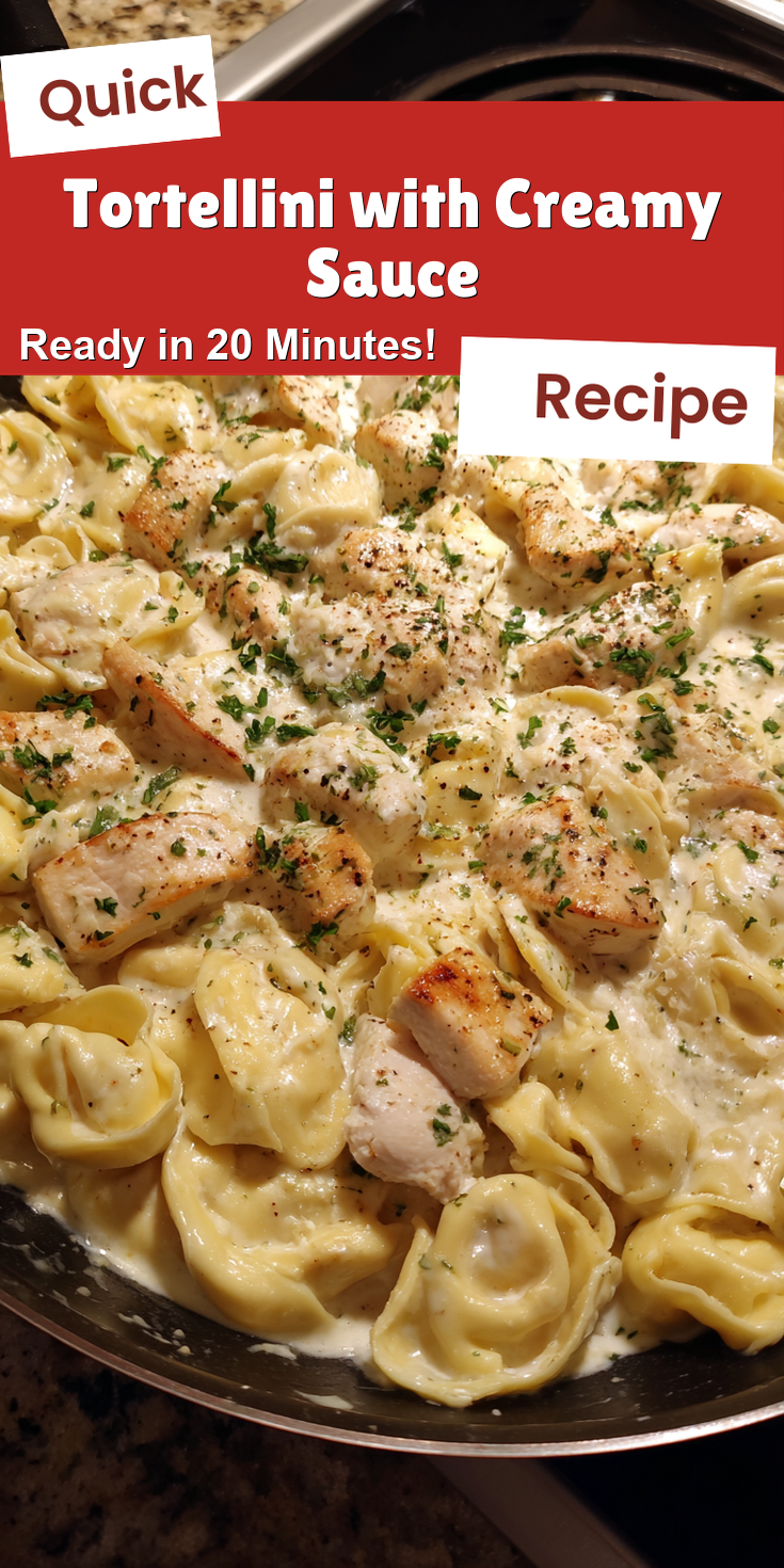 Tortellini with Creamy Sauce served warm with cozy spices